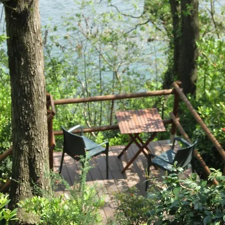 Tana Della Volpe Bed and breakfast 2*